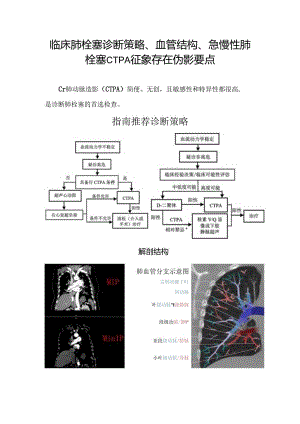 临床肺栓塞诊断策略、血管结构、急慢性肺栓塞CTPA征象存在伪影要点.docx