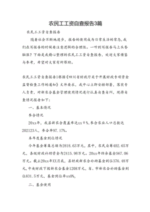 农民工工资自查报告3篇.docx