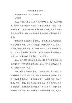 县级巡察表态发言.docx