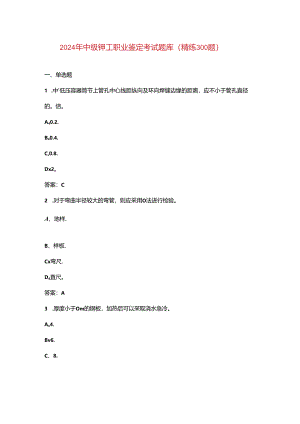 2024年中级铆工职业鉴定考试题库（精练300题）.docx