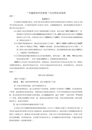 “卓越绩效评价准则”自评师培训案例.docx