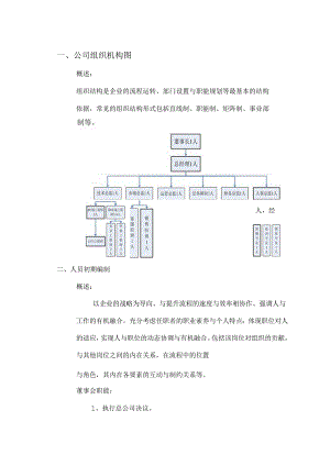 P2P金融公司组织架构图.docx