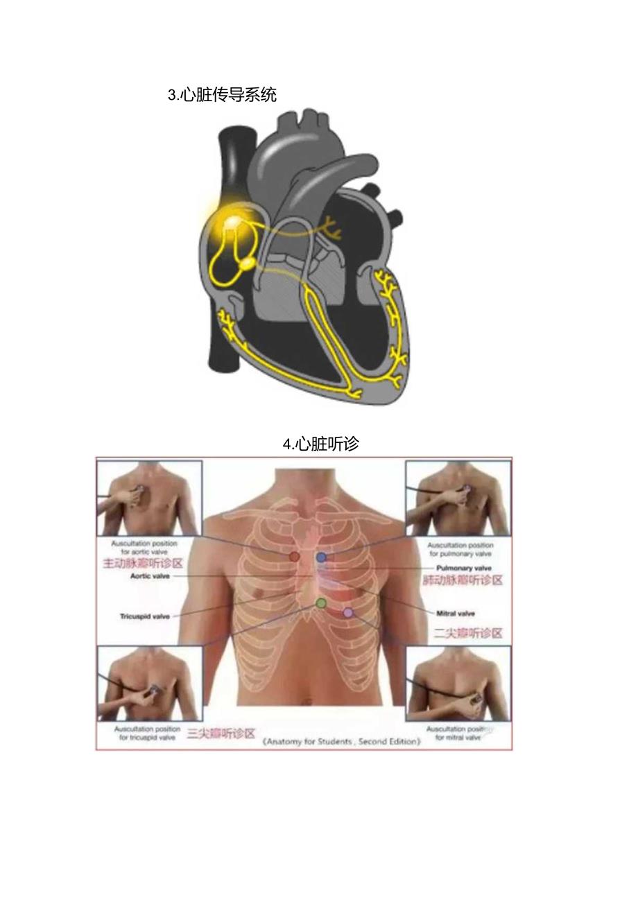 临床心血管系统及疾病图谱合集.docx_第3页