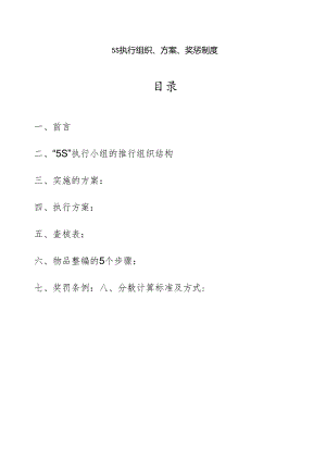 5S执行组织、方案、奖罚制度.docx