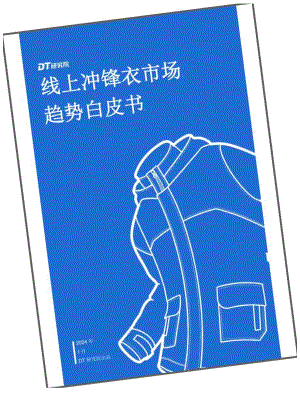 2024线上冲锋衣市场趋势白皮书.docx
