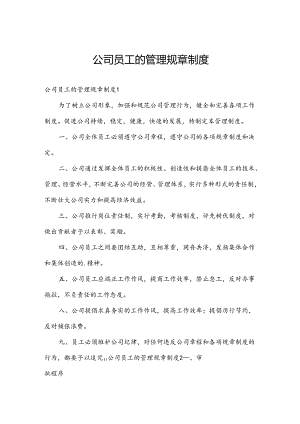 公司员工的管理规章制度.docx