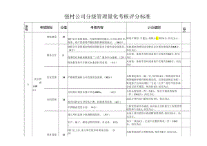 强村公司分级管理量化考核评分标准.docx