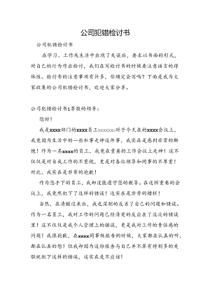 公司犯错检讨书.docx