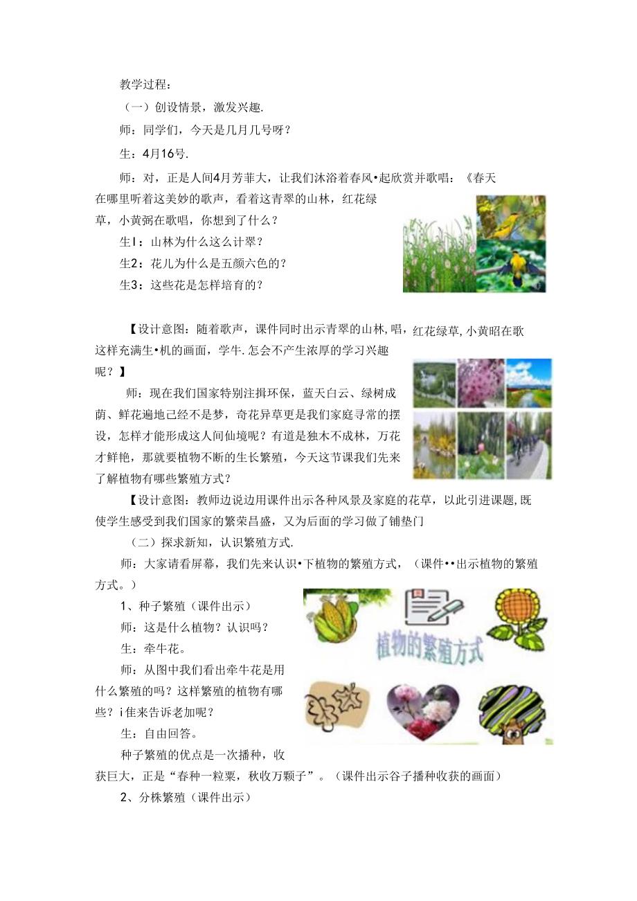 任务二 月季扦插（教学设计） 劳动六年级上册鲁科版.docx_第2页