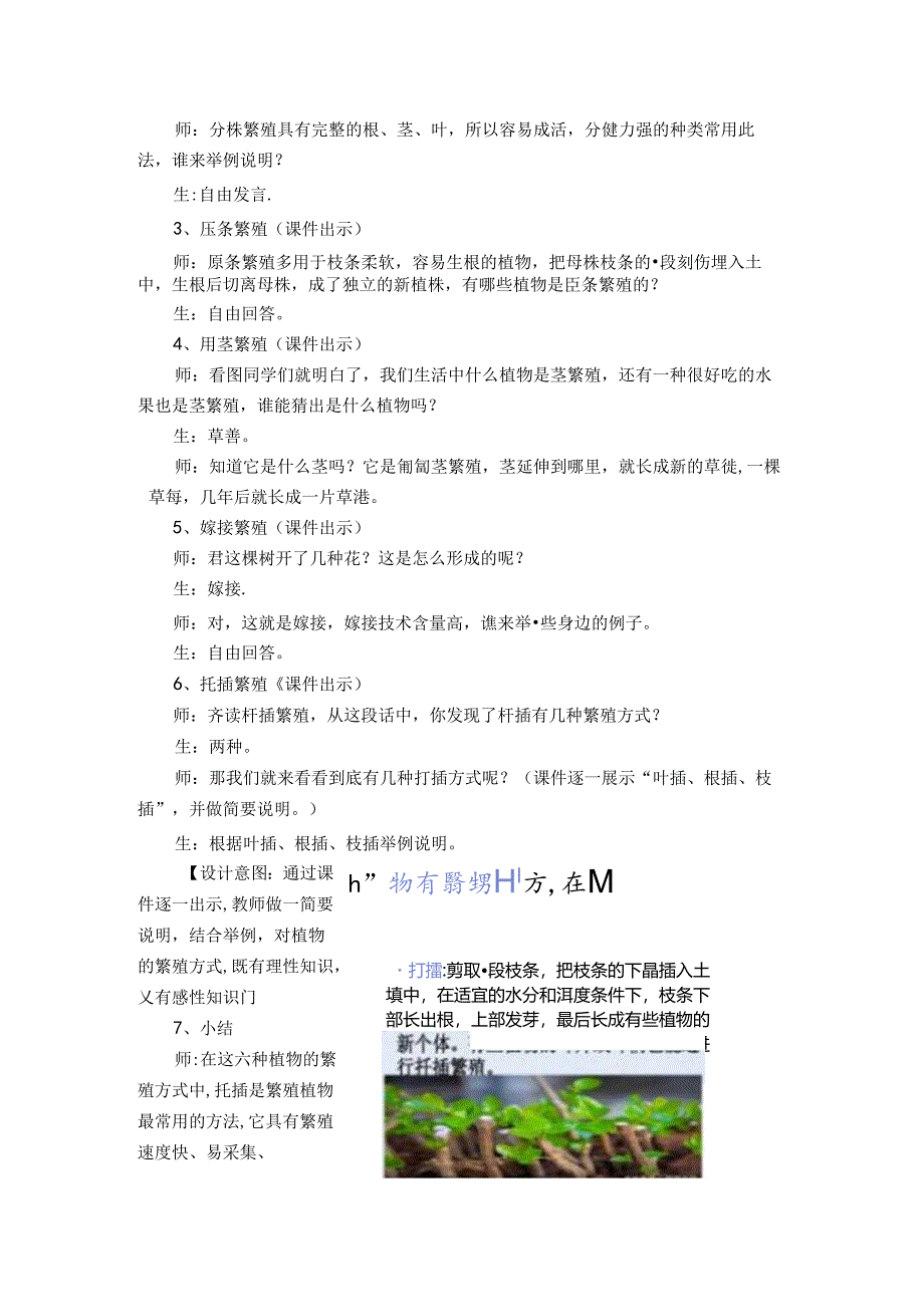 任务二 月季扦插（教学设计） 劳动六年级上册鲁科版.docx_第3页