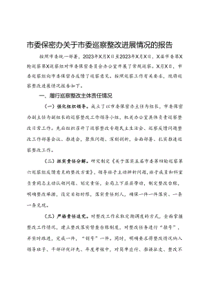 市委保密办关于市委巡察整改进展情况的报告.docx