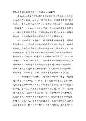 2024年干部选拔任用工作情况报告.docx