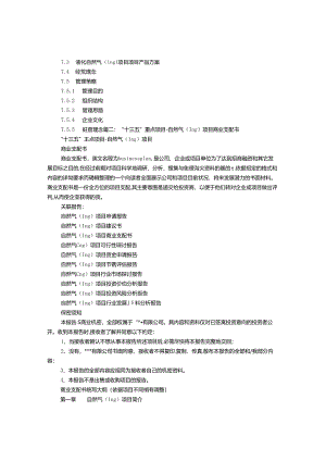 LNG项目计划书.docx