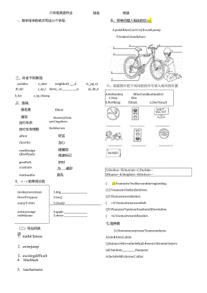 unit7the-mountain-bike-race--exercise.docx