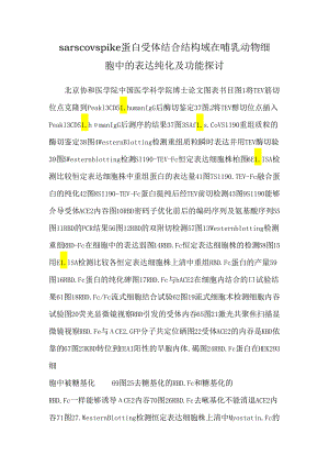 sarscov spike蛋白受体结合结构域在哺乳动物细胞中的表达 纯化及功能研究.docx