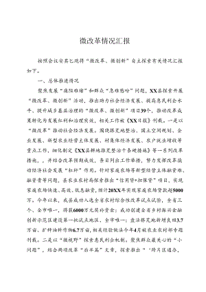 关于微改革的情况汇报.docx