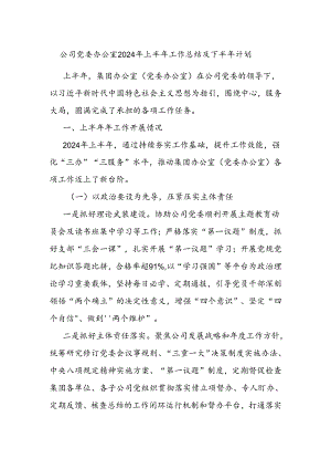 公司党委办公室2024年上半年工作总结及下半年计划.docx