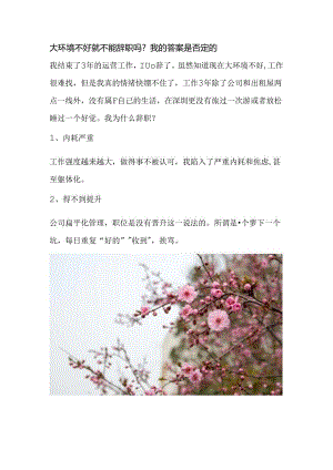 大环境不好就不能辞职吗？我的答案是否定的.docx