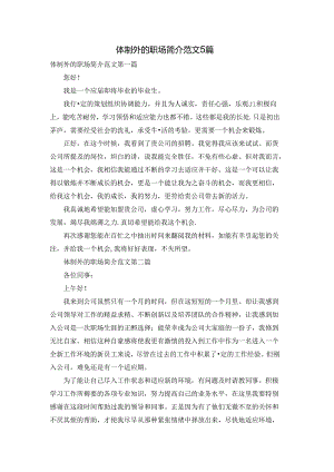 体制外的职场简介范文5篇.docx