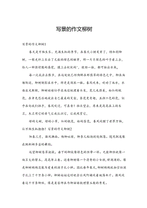 写景的作文柳树.docx