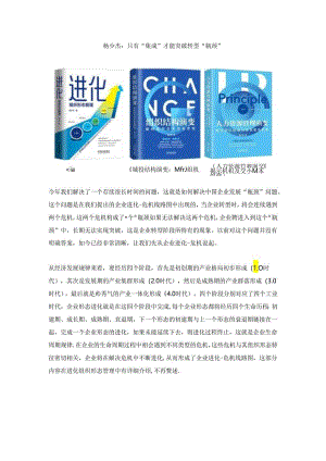 杨少杰：只有“集成”才能突破转型“瓶颈”.docx