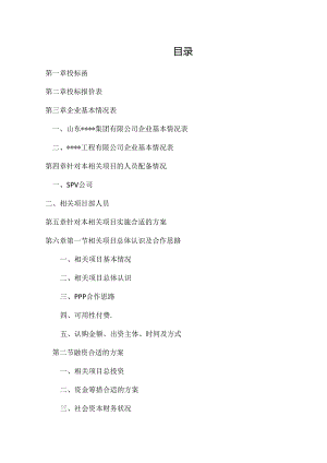 某集团PPP项目投标文件.docx