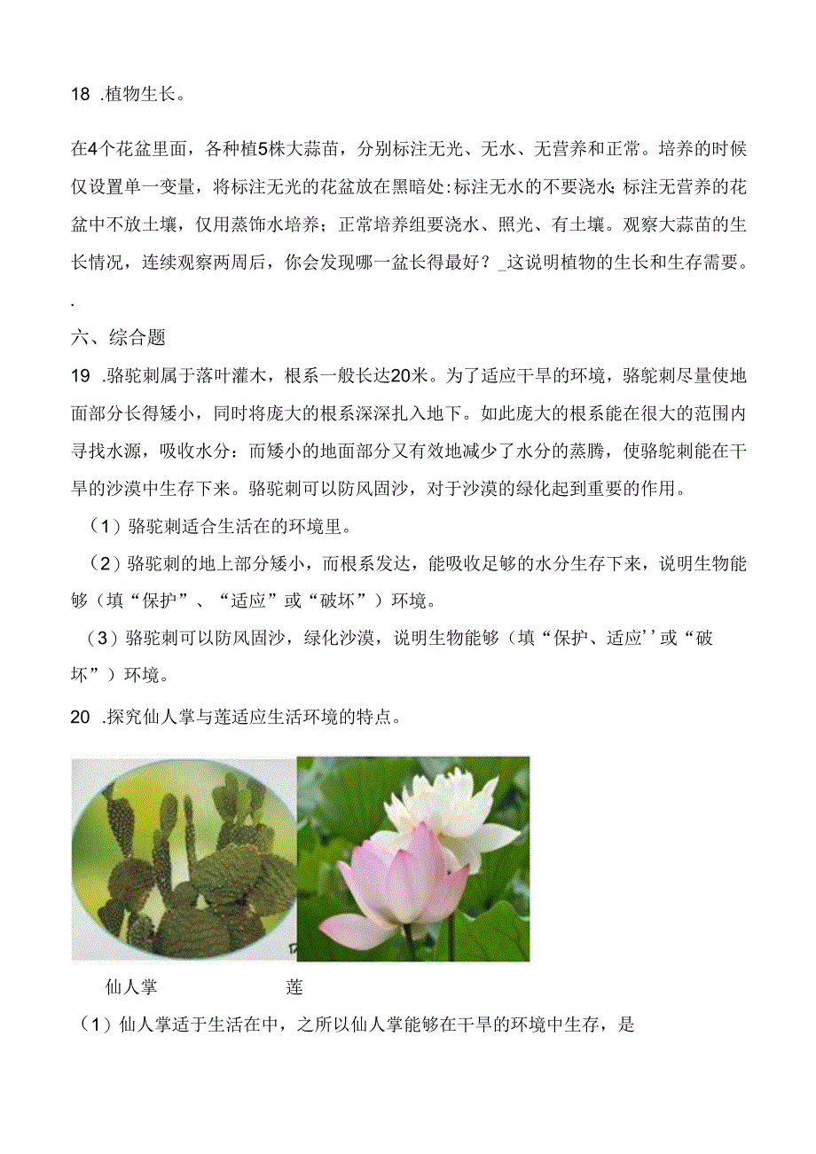 第6课 仙人掌与莲 同步分层作业 科学三年级下册（冀人版）.docx_第3页