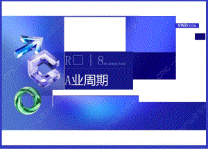 2024不动产运营发展报告.docx