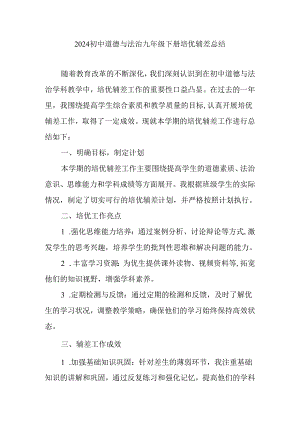 2024初中道德与法治九年级下册培优辅差总结.docx