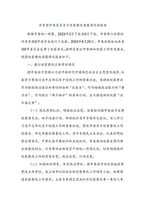 共青团市委员会关于巡察整改进展情况的报告.docx