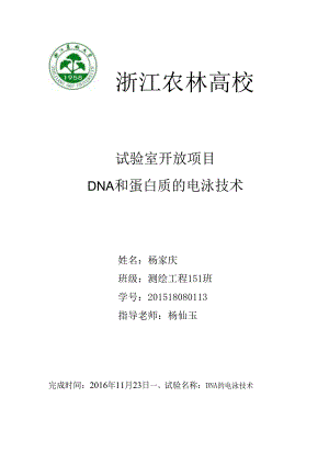 DNA电泳实验报告杨家庆.docx