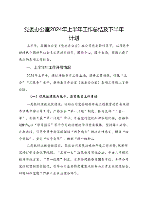 党委办公室2024年上半年工作总结及下半年计划.docx