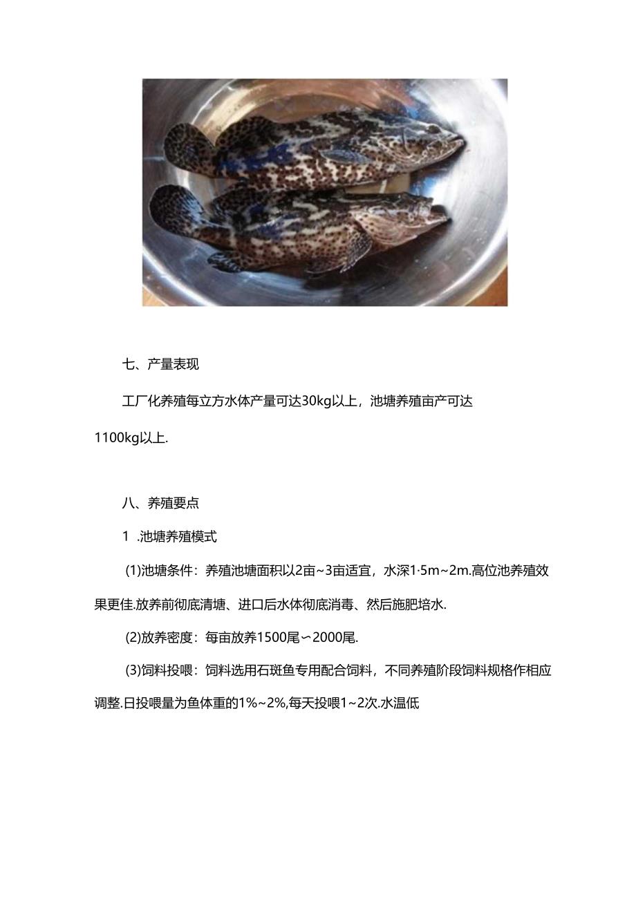 虎龙杂交斑.docx_第2页