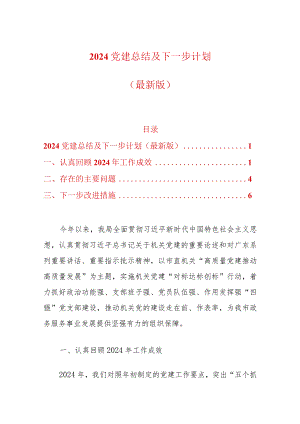 2024党建总结及下一步计划（最新版）.docx