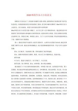 2024师范生实习小结版本.docx