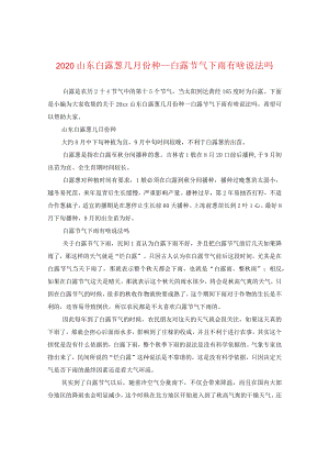 2024山东白露葱几月份种_白露节气下雨有啥说法吗.docx