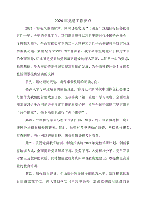 2024年党建工作要点.docx