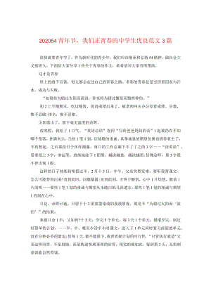 2024五四青年节我们正青春的生优秀版本3篇.docx