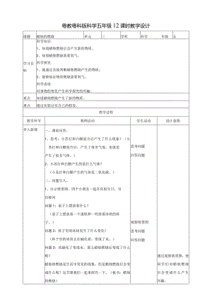 粤教版五年级科学上册《蜡烛的燃烧》教案.docx