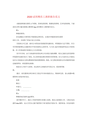 2024试用期员工离职报告版本.docx