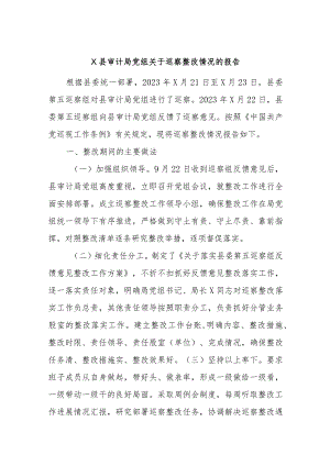X县审计局党组关于巡察整改情况的报告.docx