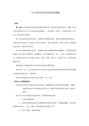 ____公司货币资金控制制度模板.docx