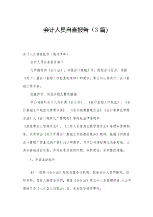 会计人员自查报告（3篇）.docx