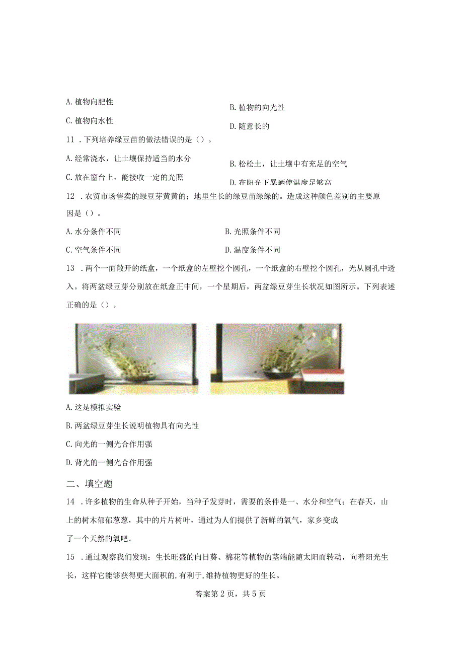 教科版科学五年级下册1-3绿豆苗的生长练习卷.docx_第2页