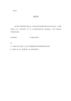 承诺书模板范文.docx