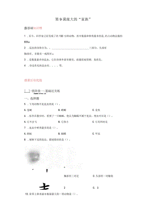 苏教版科学四年级下册9庞大的“家族”同步分层作业.docx