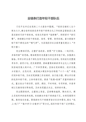全链条打造年轻干部队伍.docx