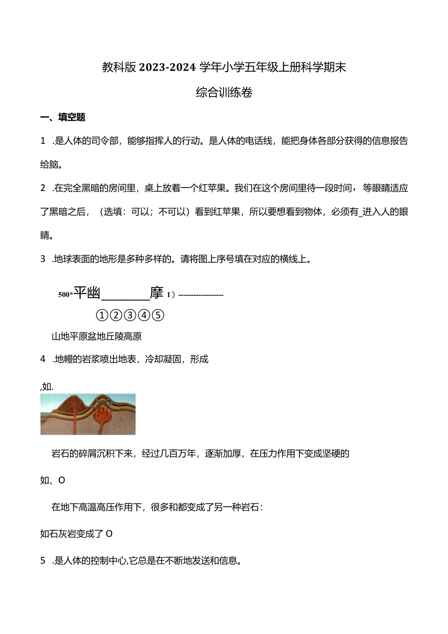 教科版2023-2024学年小学五年级上册科学期末综合训练卷（附答案）.docx_第1页