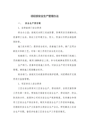 项经部安全生产管理办法.docx