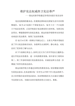 维护宪法权威--捍卫宪法尊严——致远实验学校通过各项活动进行宪法宣传.docx